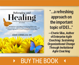 Belonging and Healing book Image